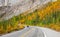 Icefield park way in Jasper national park