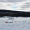 Icehotel in JukkasjÃ¤rvi is built of snow and ice from the Torne River