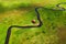 Iceland. Aerial view on the alone house, field and river. Panoramic landscape in the Iceland at the day time. Landscape from drone