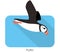 Iceland bird, flat cute puffin flying vector illustration