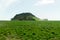 Iceland Green Field, Montain Landscape - Europe