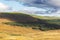 Iceland inland covered in forest and grass fields turning yellow in autumn