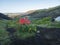 ICELAND, LANDMANNALAUGAR, August 2, 2019: Colorful tents in Botnar campsite at Iceland on Laugavegur hiking trail, green