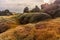 Iceland Landscape with Moss and Rock. Lava Rocks and Evening Blue Sky in Background.