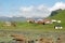 Iceland landscape south coast - with glacier-grassland