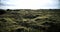 Iceland lava field covered with green moss from volcano eruption. move camera Midle shot. Move camera