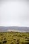 Iceland Lava field, green moss, volcanic rocks