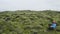 Iceland moss nature landscape with hiker relaxing