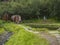 ICELAND, THORSMORK, August 3, 2019: Geothermal hot pool with sauna at the Husadalur Camp in the birch forest in