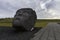 Iceland Viking Statue Head
