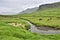 In the Icelandic countryside, there are two horses standing in the middle of a green meadow, with a stream and a cloudy