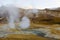 Icelandic geysir in summer, steam going out of ground