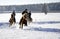 Icelandic horse competition