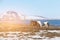 Icelandic horses over blue lake and mountain background, Iceland