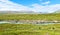 Icelandic landscape with flowing rivers surrounded by rocks and grass