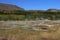 Icelandic landscape with the Little geysir