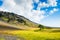 Icelandic landscape with mountains and tree.