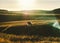 Icelandic landscapes, sunset in a meadow with horses grazing  backlight