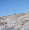 Icelandic late winter landscape