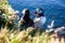 Icelandic Puffin bird couple standing in the flower bushes on the rocky cliff on a sunny day at Latrabjarg, Iceland, Europe