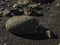 Icelandic rounded stones in gravel