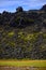 Icelandic Sheep and Lava Field