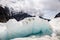 Icescape on a glacier in New Zealand