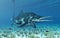 Ichthyosaur Shonisaurus