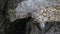Icicle in the cave of Shamanka mountain lake Baikal