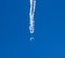 The icicle melts and drops drip against the blue sky. Early spring