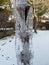 icicle rain chain