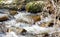 Icicles along a stream bed