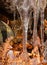 Icicles with autumn plants