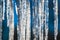 Icicles on a bright spring sun close, blurred abstract background