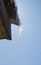 Icicles on the edge of a metal roof, melting, dripping with water