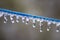 Icicles Form On A Clothes Line During A Freezing Rain Storm