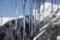 Icicles formed on a window in winter