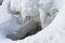 Icicles grew on the snow covered ice