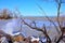 Icicles hage from trees with large waves crashing the shoreline