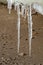 Icicles hang from the ice floe over the sandy shore