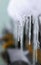 Icicles hang from the old roof in the spring thaw