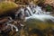 Icicles hang on twigs and icy bark above chilli rapid stream