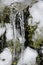 Icicles hanging from Christmas tree