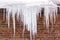 Icicles hanging from the roof of the building - danger to human