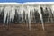 Icicles hanging from roof after cold winter night