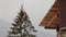 Icicles that hanging on the roof of a wooden house in the forest with spruce treetop with cones and hills on background
