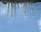 Icicles heap on blue sky, winter environment,