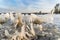 Icicles near the shore of a dutch lake