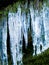 Icicles, plant and moss on cliff outdoor in nature, waterfall and mountain ecology in winter. Frozen ice hanging on