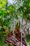 Icicles snow on the branches of trees.